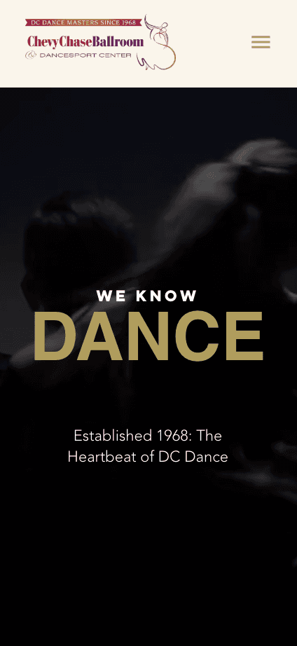 Mobile website preview