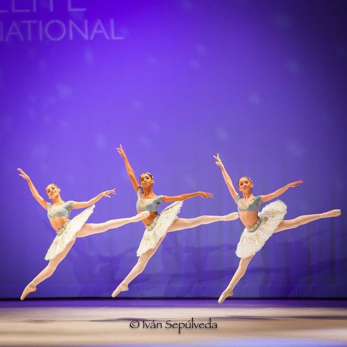 Sheer Elite International, image 4